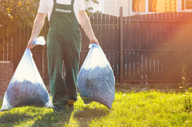 Best Shed Removal  in Mount Carmel, TN